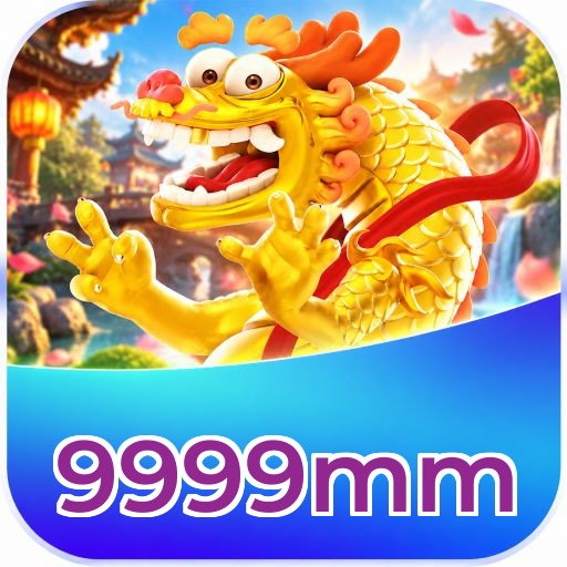 9999mm Interface