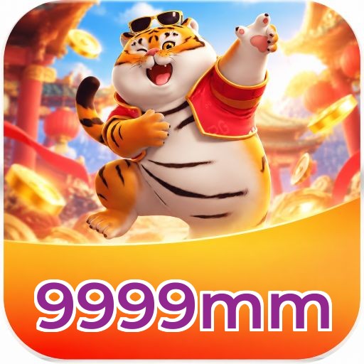 9999mm FAQ
